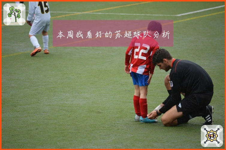 本周我看好的苏超球队分析